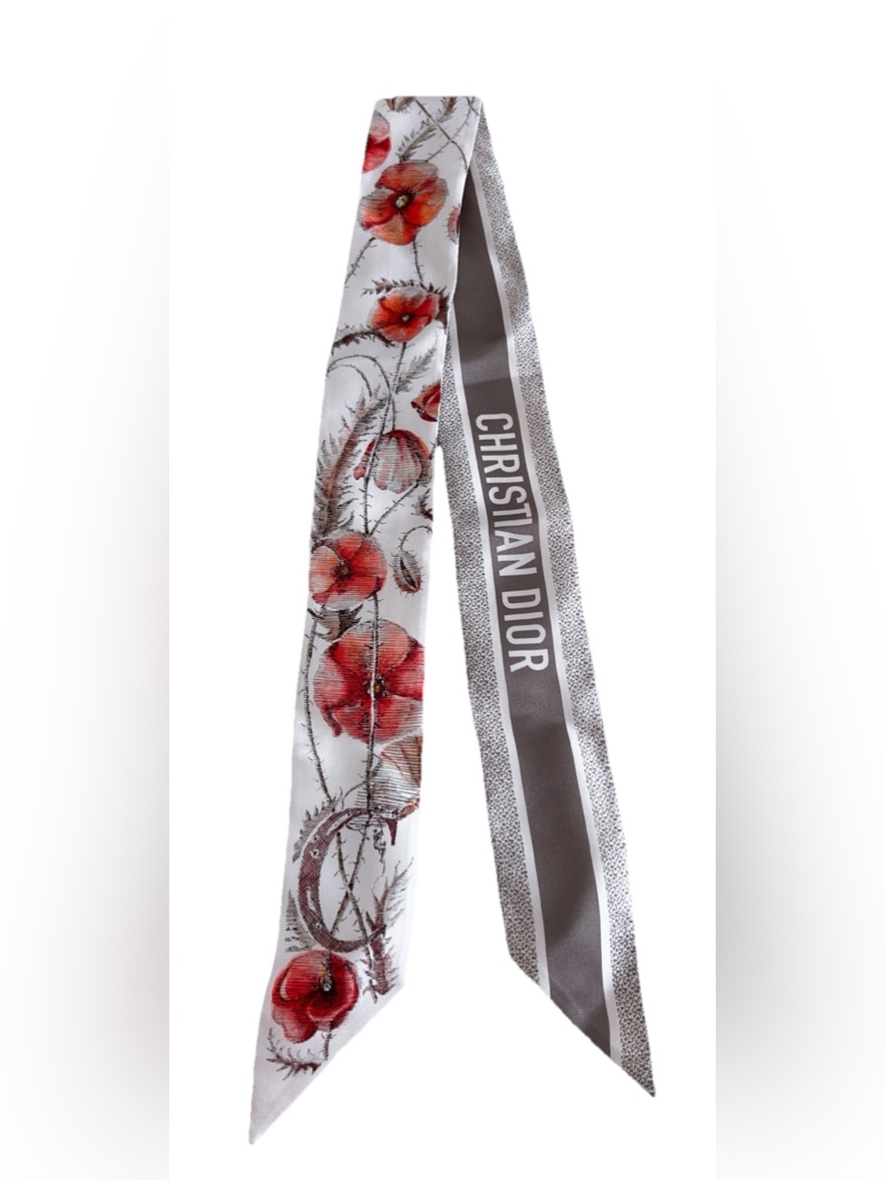 Dior Jardin D’hiver Mitzah Silk Scarf